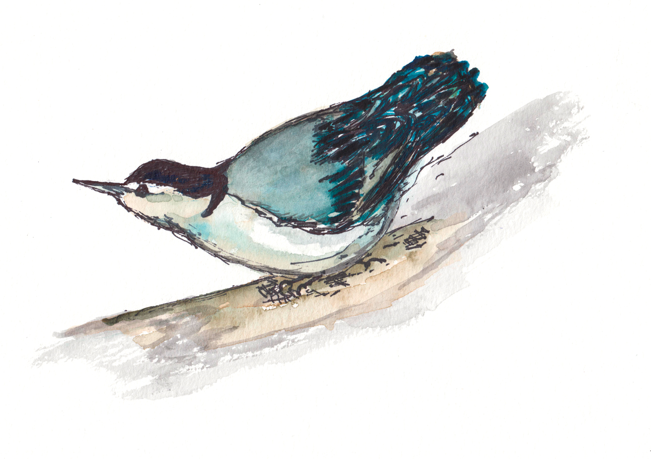Watercolor of