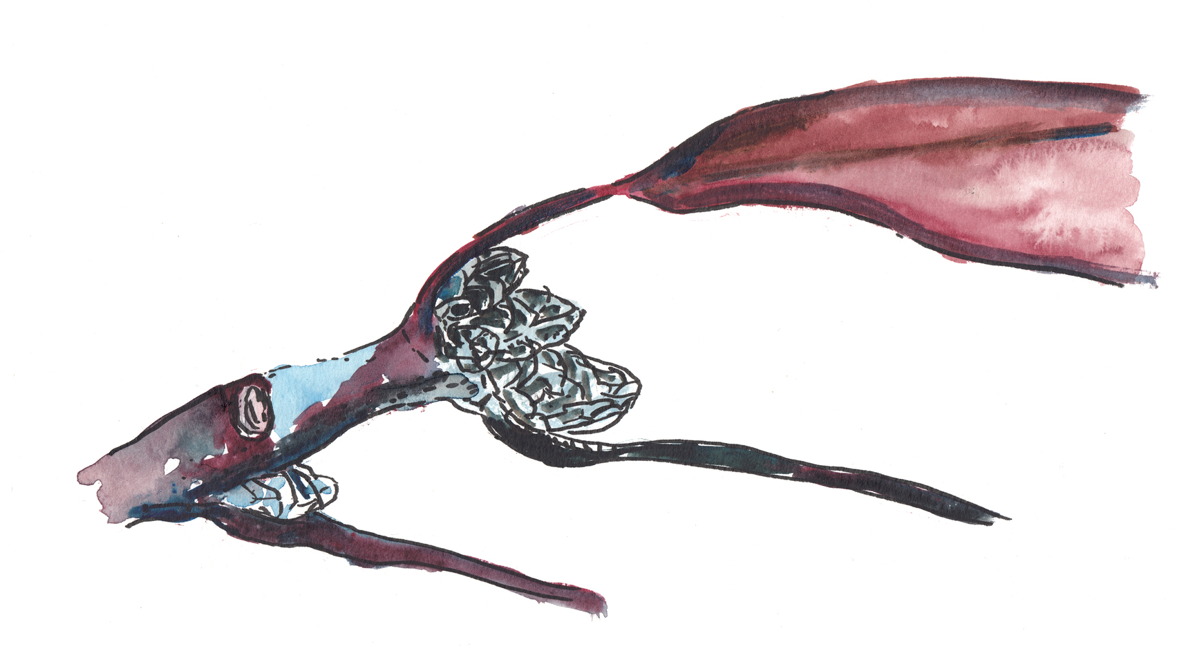 Watercolor of Red Oak Buds