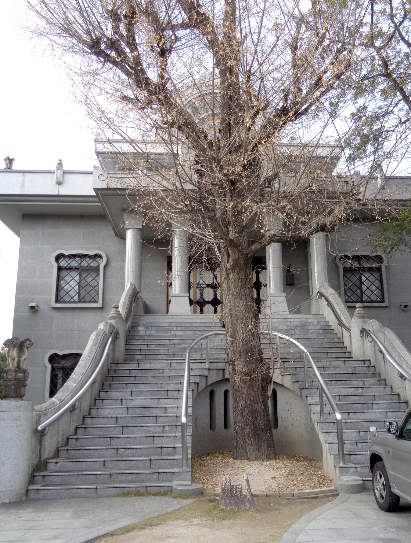 Photo of ginkgo standing between split entrance staircase