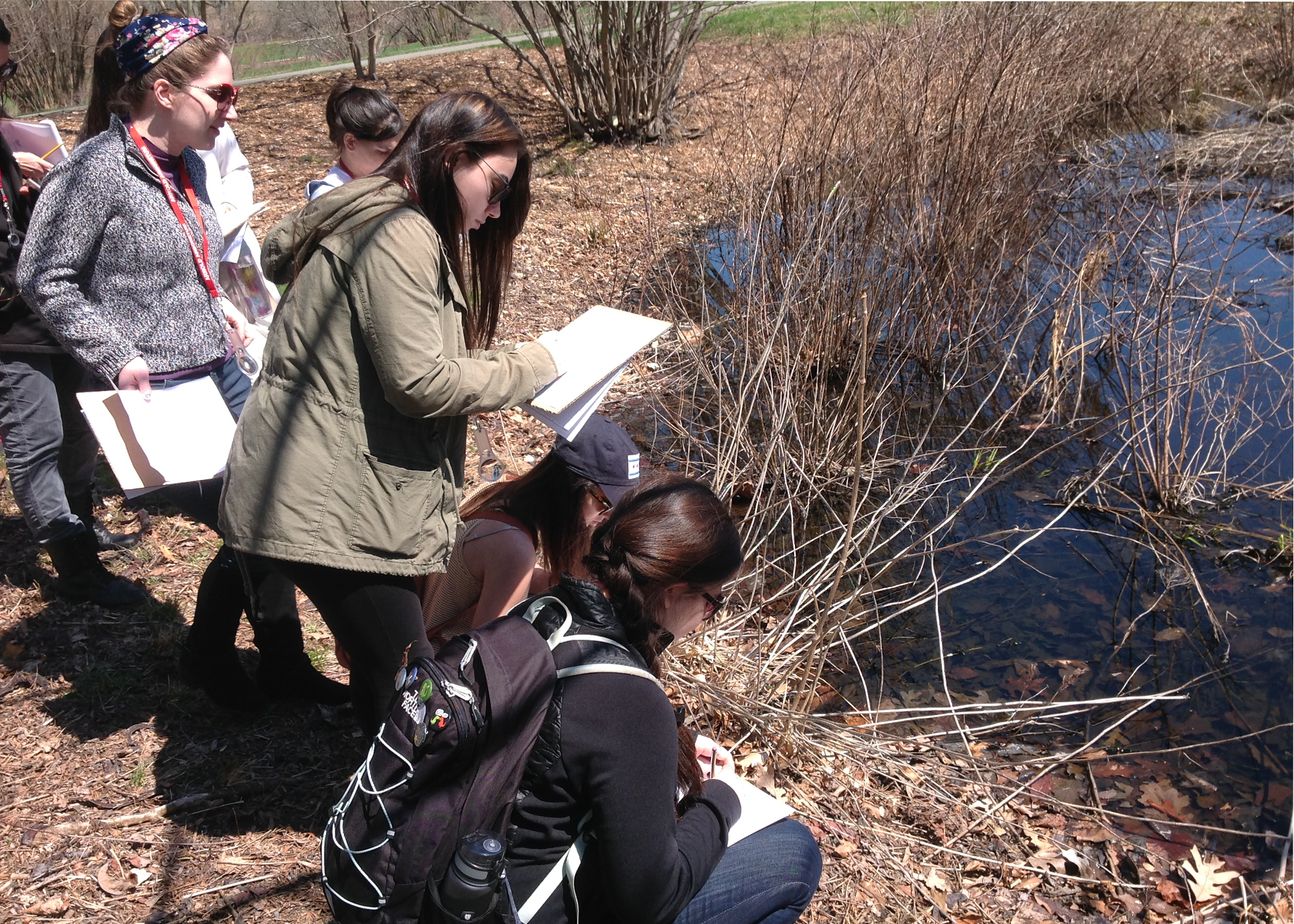 BU pre-service teachers explore a pond habitat.