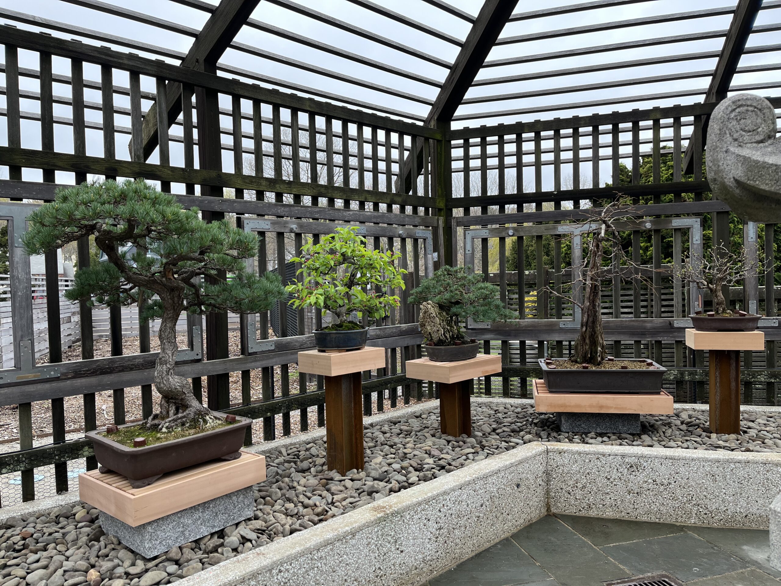 Bonsai and Penjing Collection