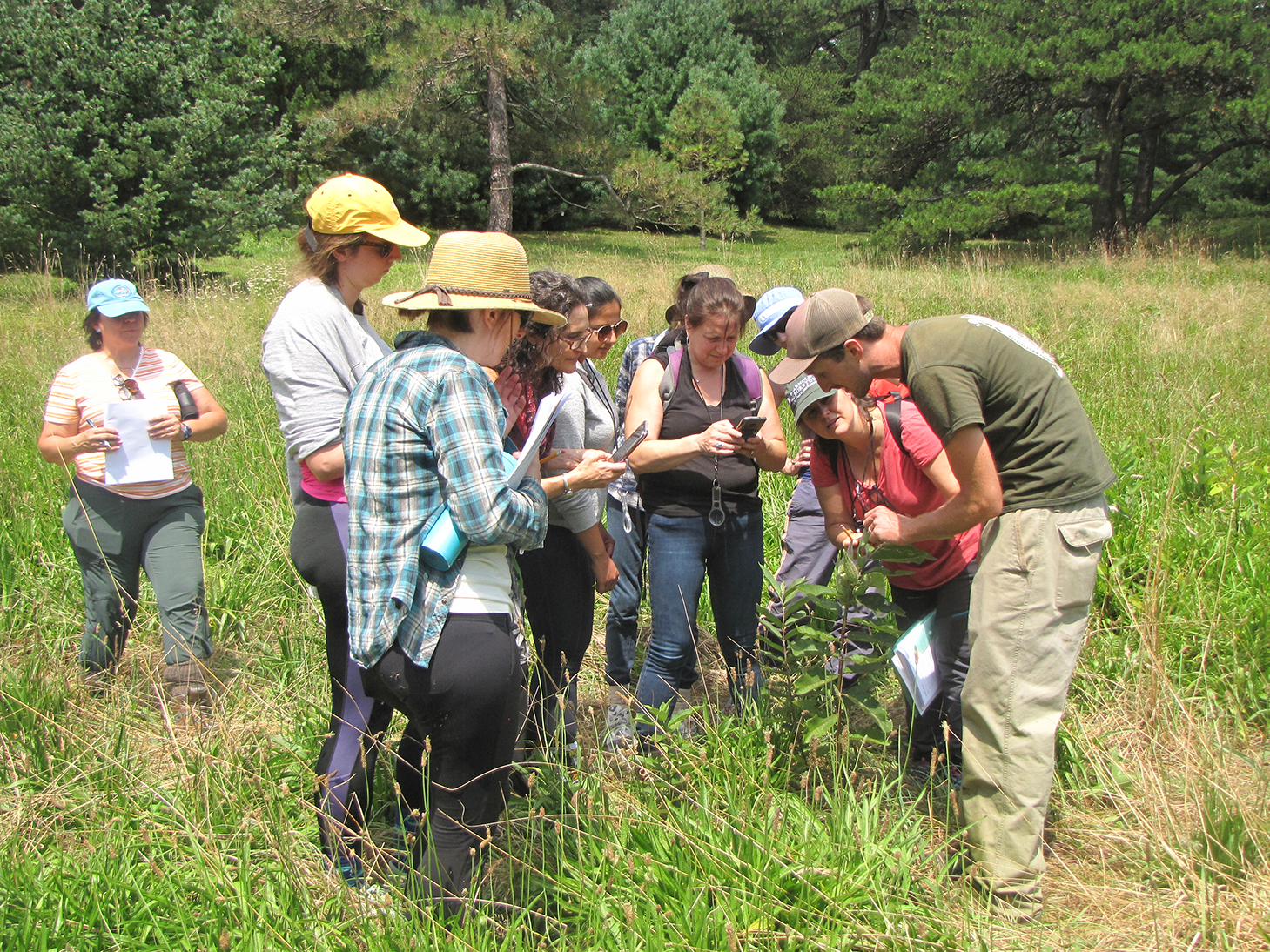 Brendan Keegan (right) explains the relationship between milkweed and monarch caterpillars.