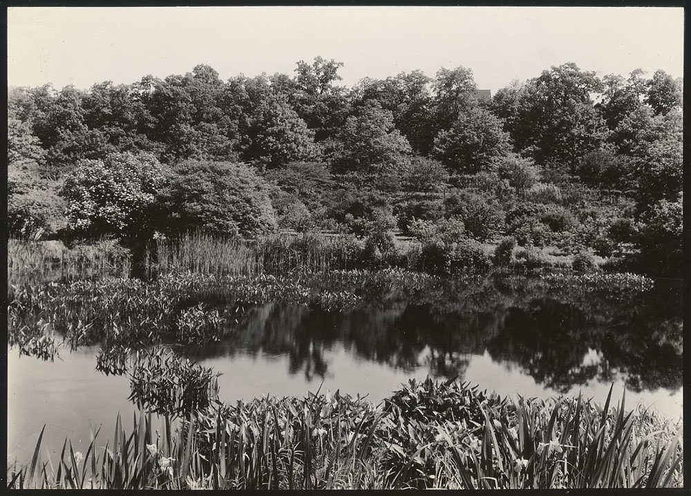 Dawson Pond, spring, 1928