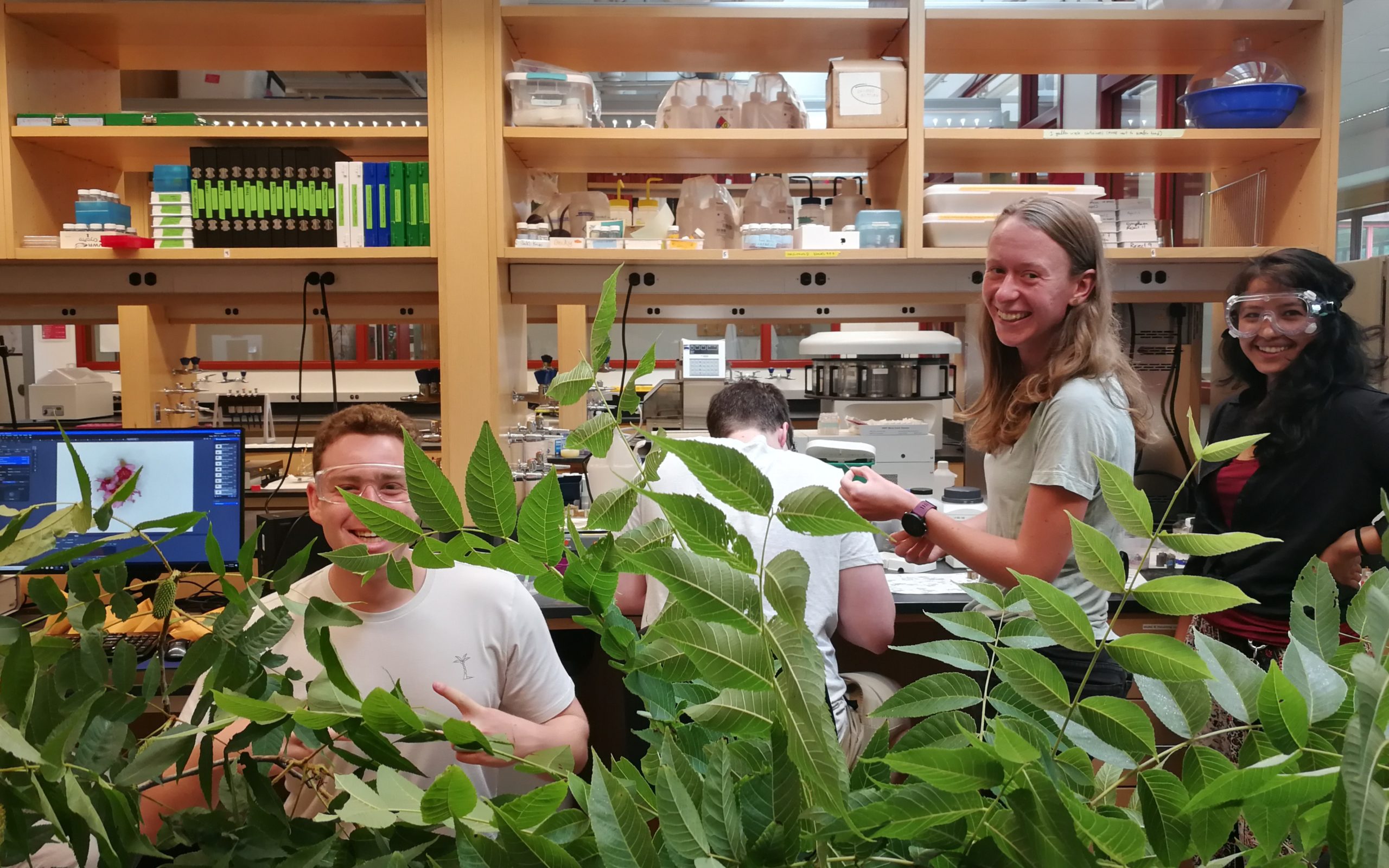 Researchers and interns in the lab