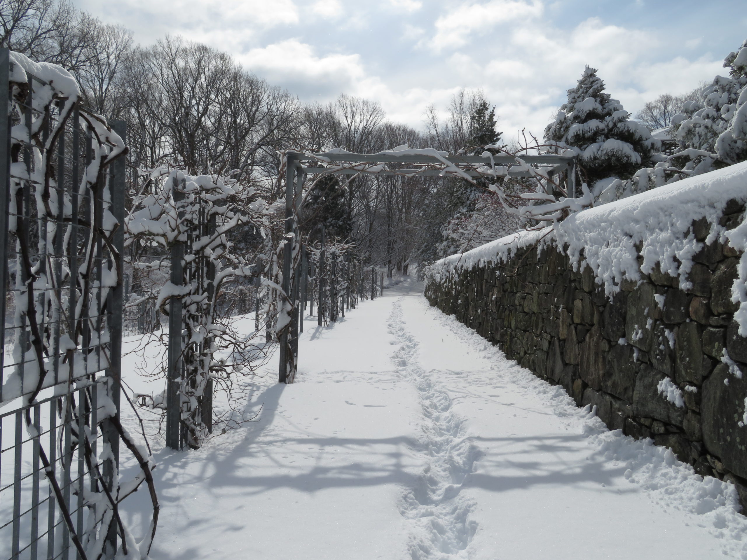 Fresh snow blankets the Leventritt Garden after a winter storm.