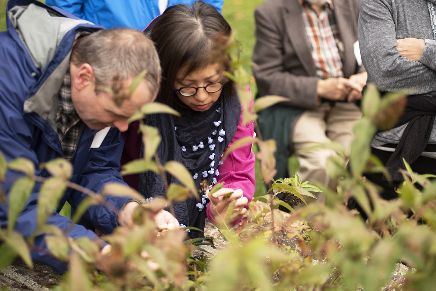 Members observe plants up close in the Leventritt Garden at 2018 Members’ Tour Day.