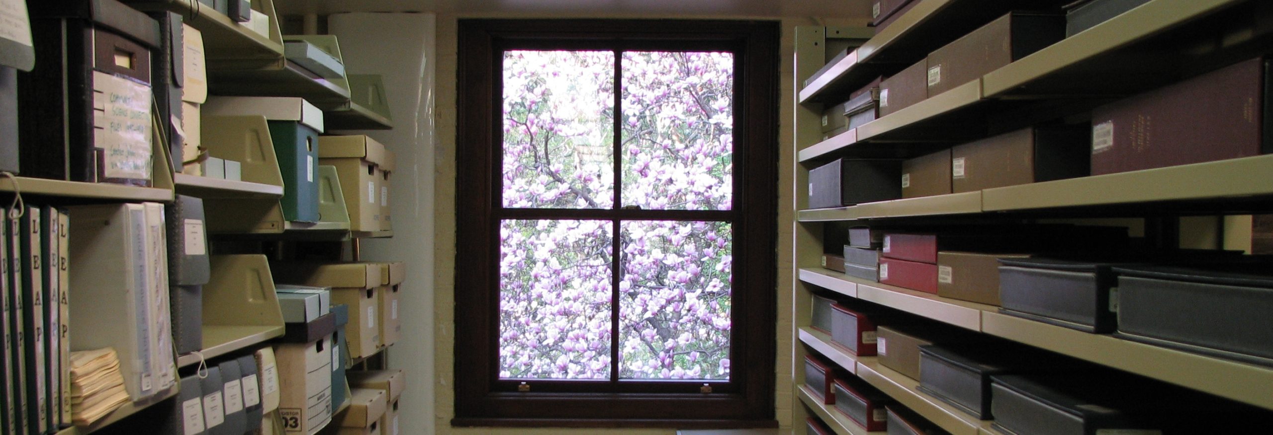 A view of shelves in the archival storage room.