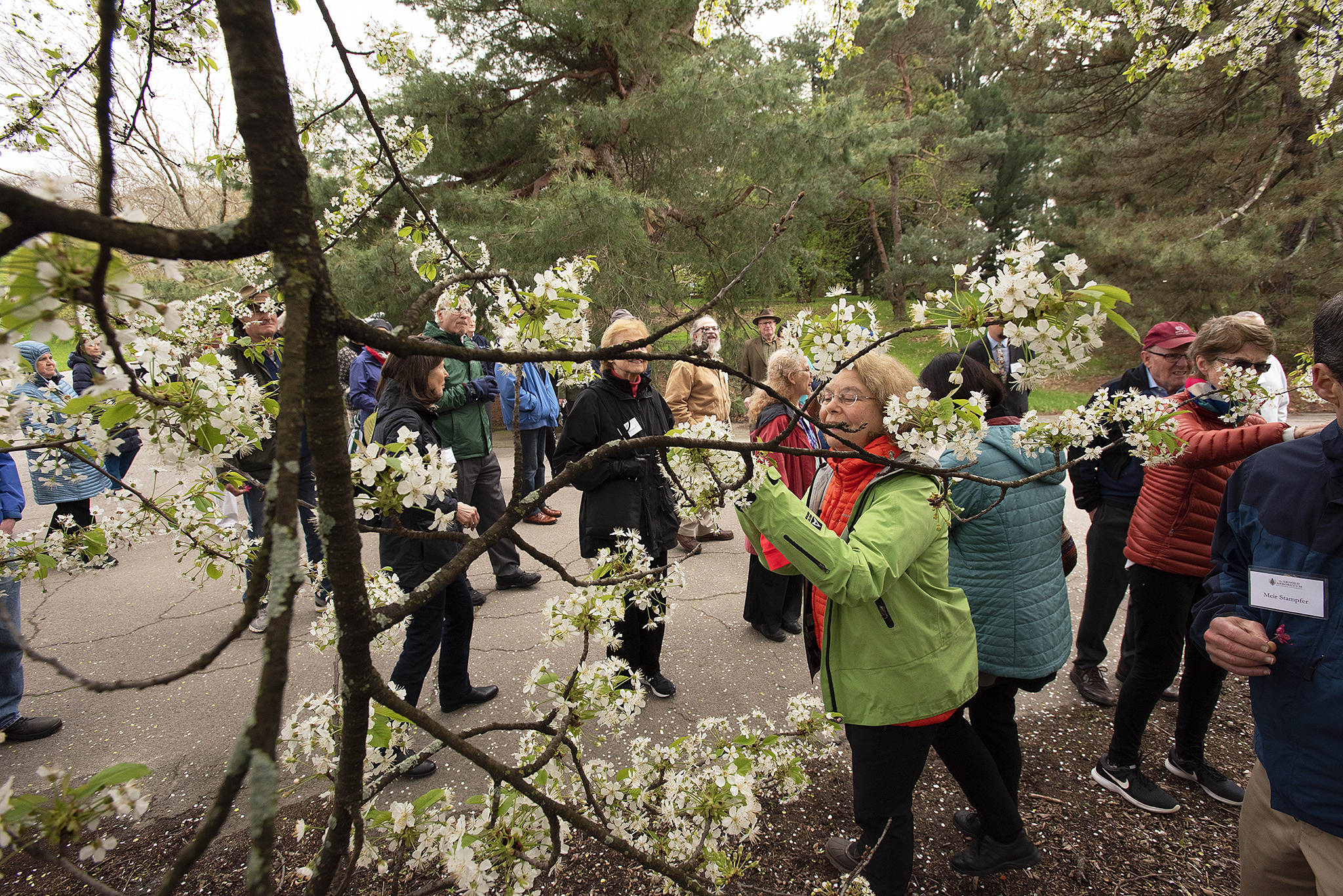 Sargent Olmsted Society event in the crabapple collection, spring 2019