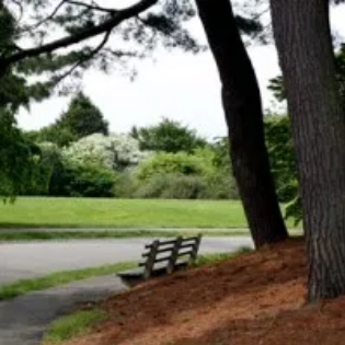 Park Bench