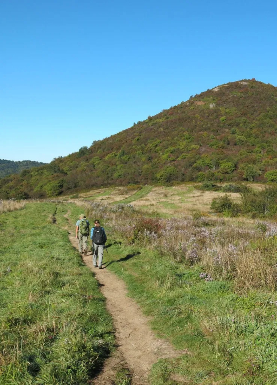 Plant explorer walking through an open valley