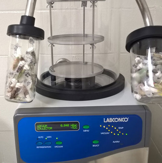 Labconco Freeze Dry System