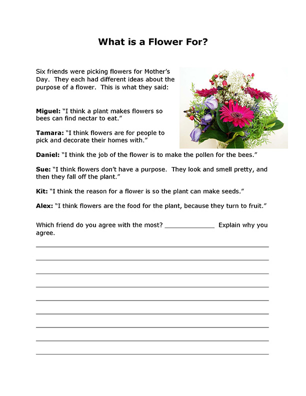 What is a Flower For probe
