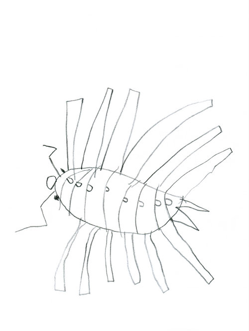 Child's drawing of a sow bug