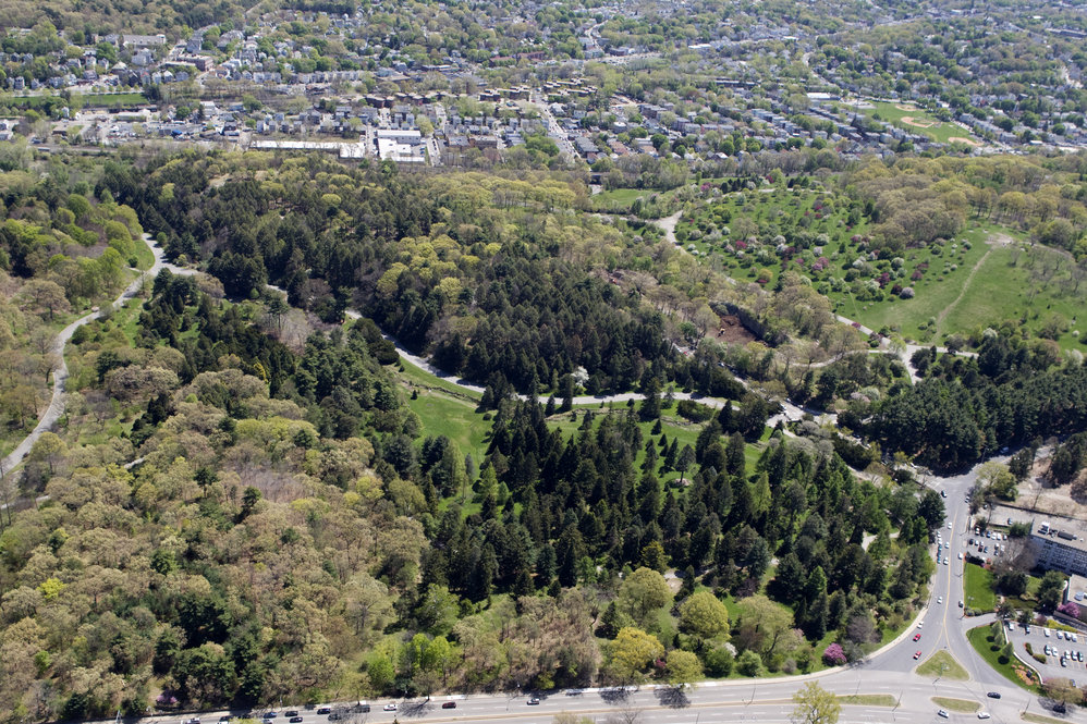 Aerial photograph of the Conifer Collection