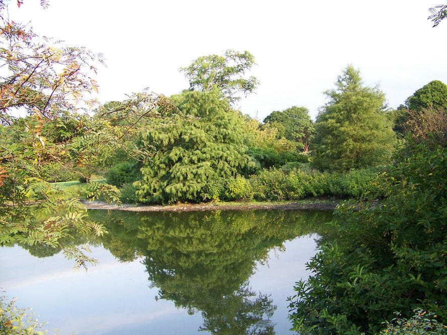 Dawson Pond