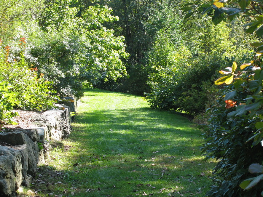 Chinese Path (looking East)
