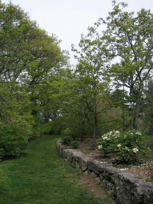 Chinese Path (looking West)