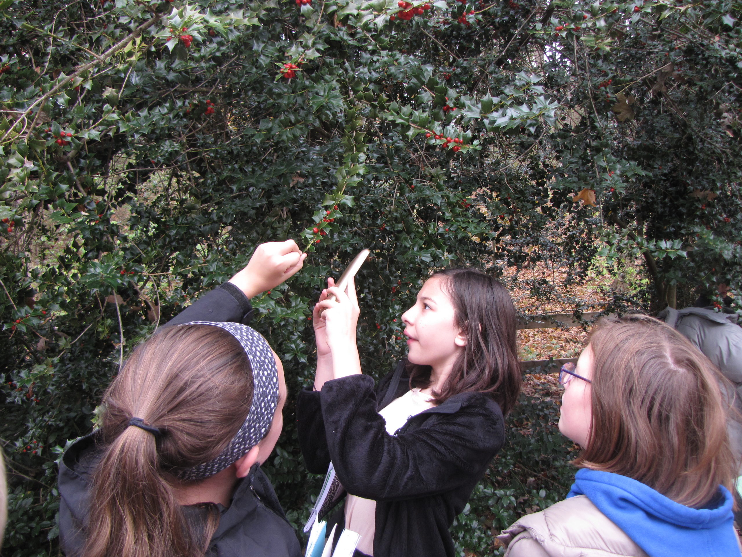 Sixth grade students document unusual plant structures.