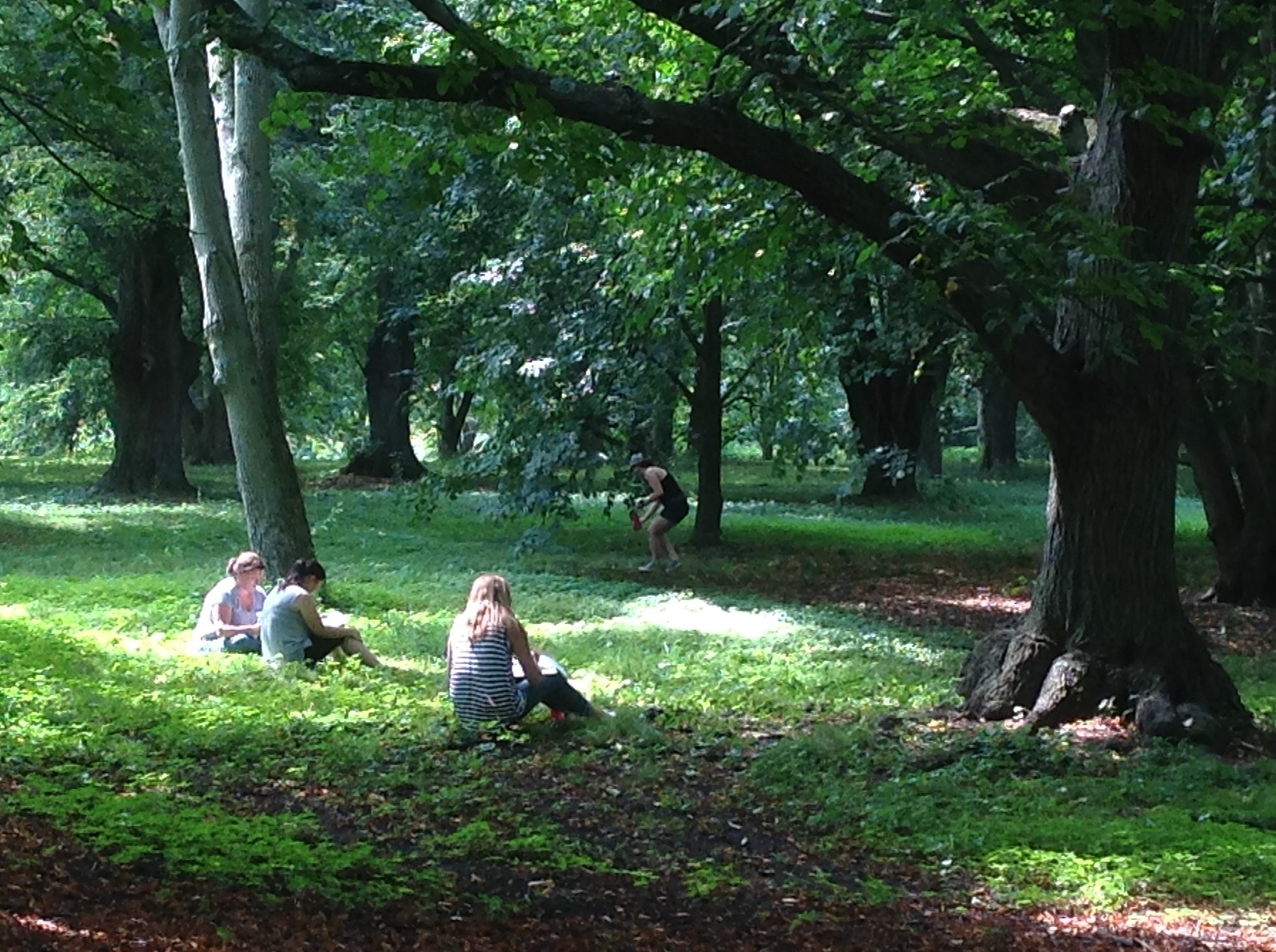 Summer Institute participants take time to reflect and journal in the landscape.
