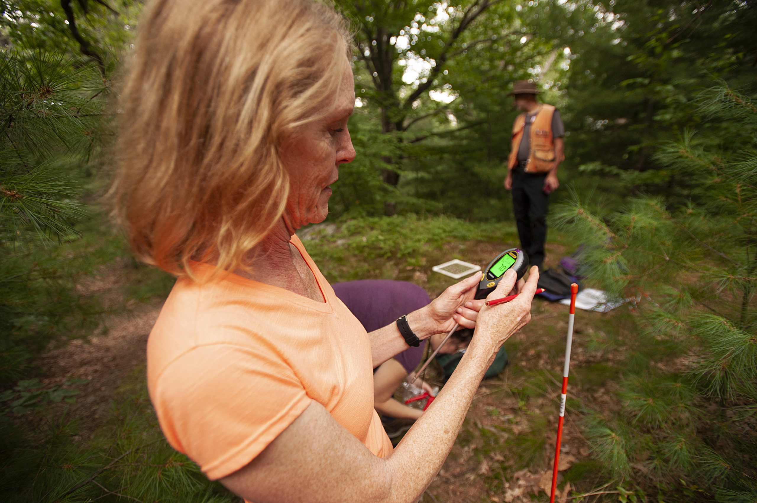 Summer Institute teachers gather data from research plots in the Central Woods.