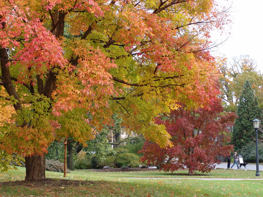 A colorful fall landscape
