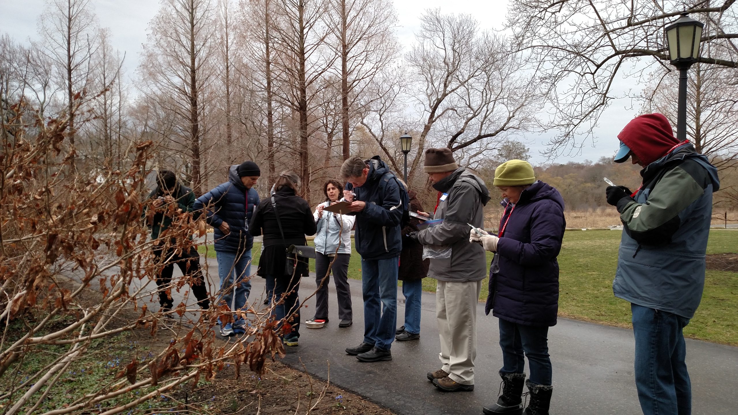 Teachers learn to read twigs and understand bud development.