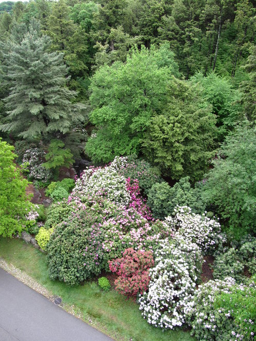 An aerial view of Rhododendron Dell from Hemlock Hill Road.