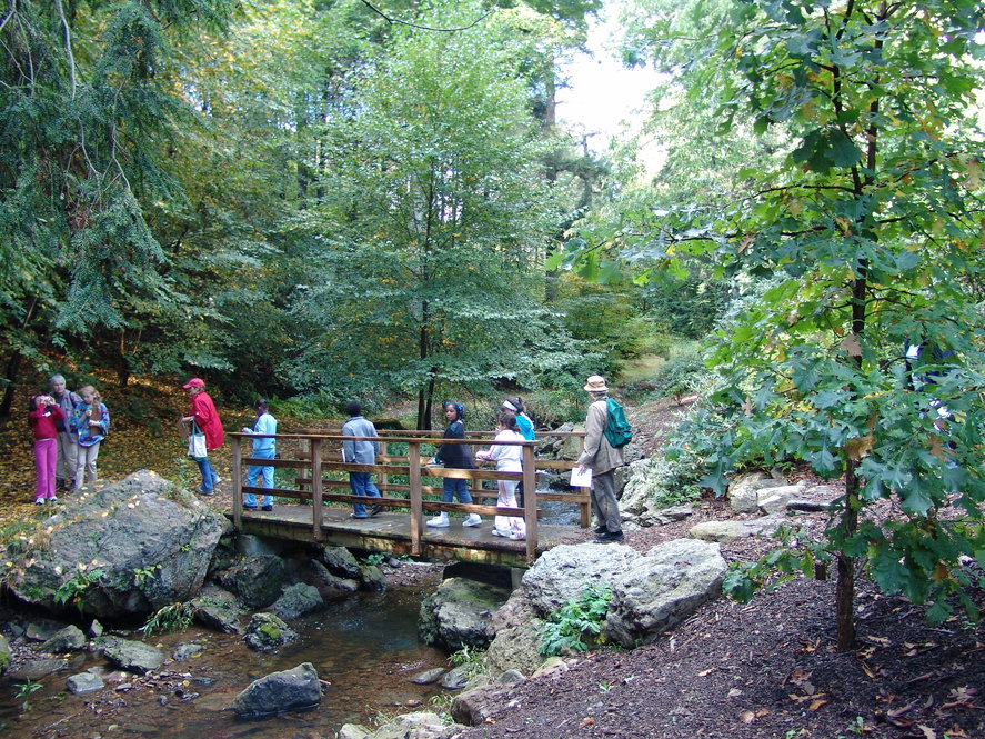 Volunteers lead students through the landscape. Photographs by Jon Hetman, Nancy Sableski, Kevin Schofield, and Julie Warsowe.
