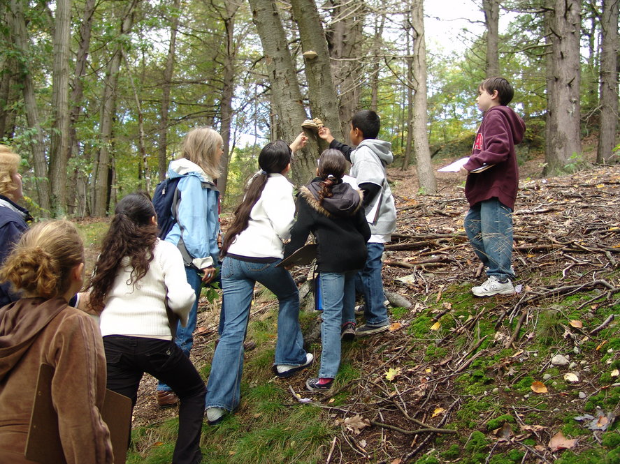 Volunteers help children explore the natural world. Photographs by Jon Hetman, Nancy Sableski, Kevin Schofield, and Julie Warsowe.