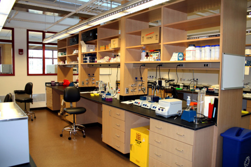 Weld Hill East Labs