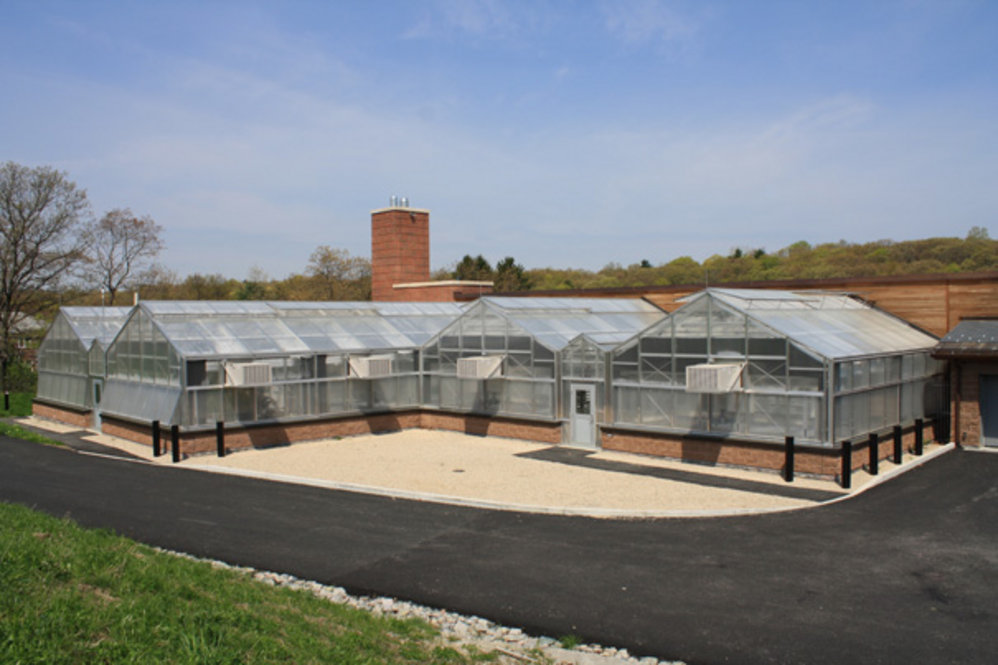 Weld Hill Greenhouses