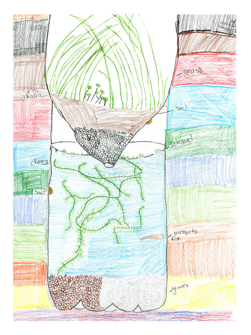 Child's drawing of an ecosystem in a bottle