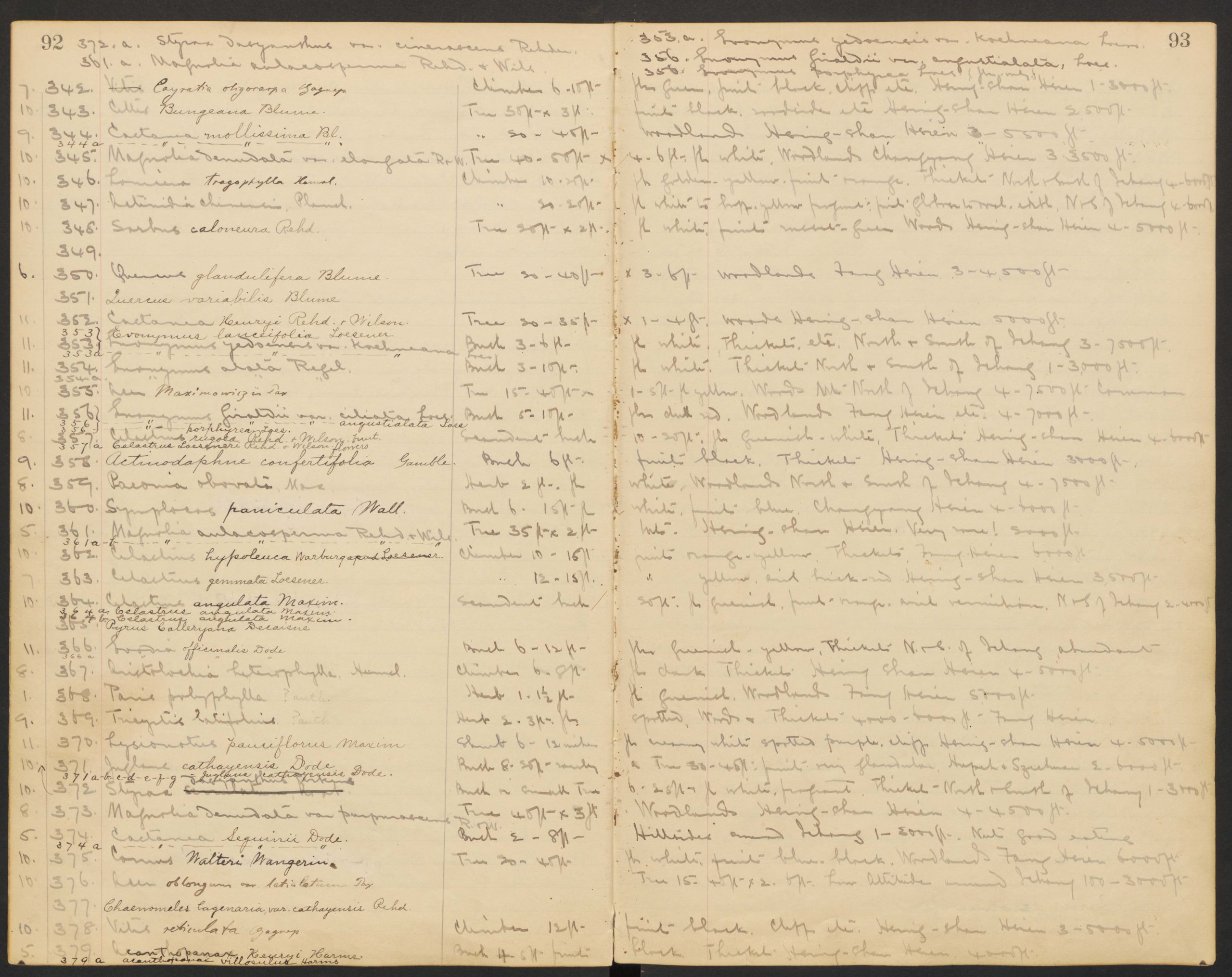 A page from one of Ernest Wilson's field collection books.