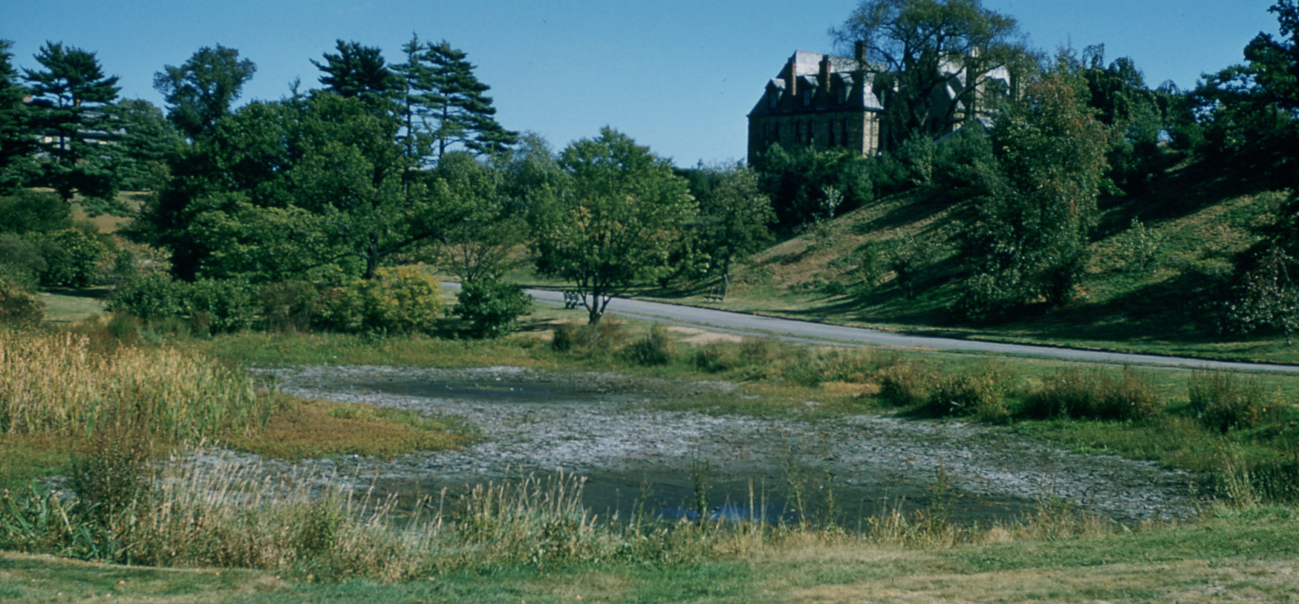 Dawson Pond dry in 1957.