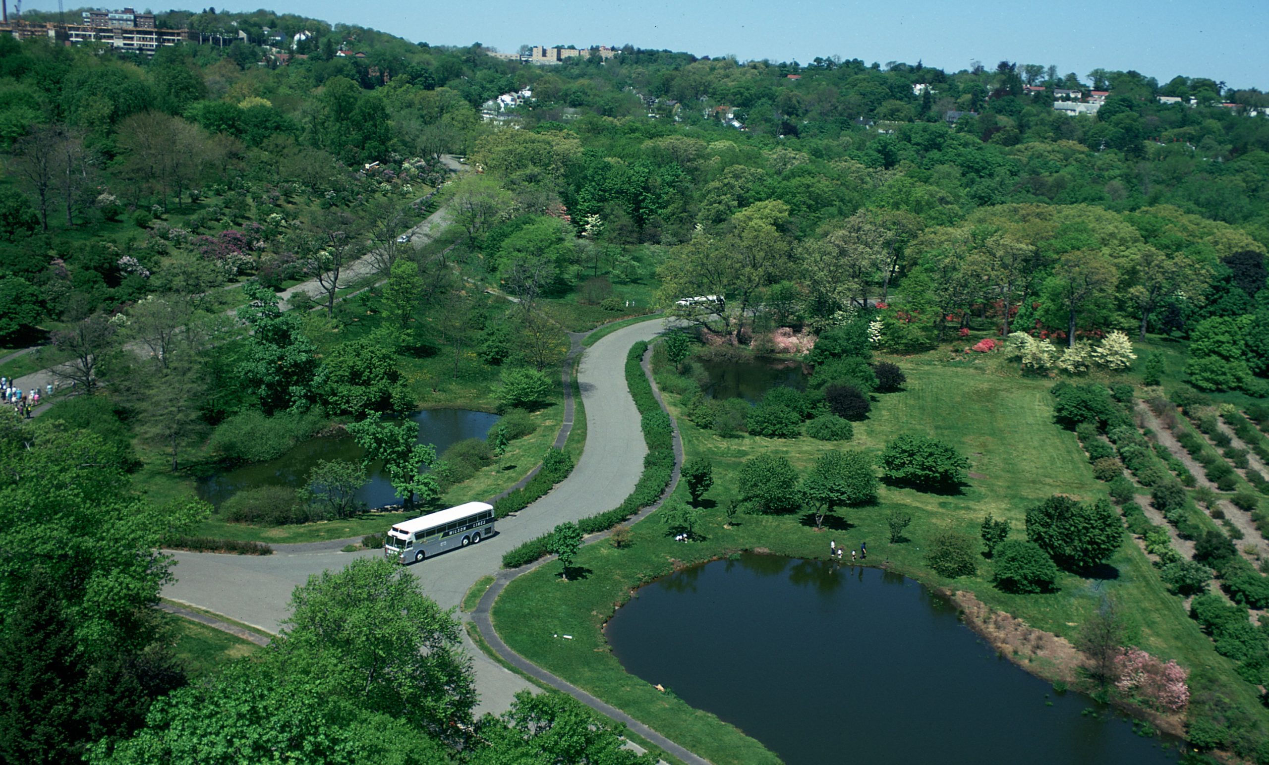Aerial view of the three Arboretum ponds.