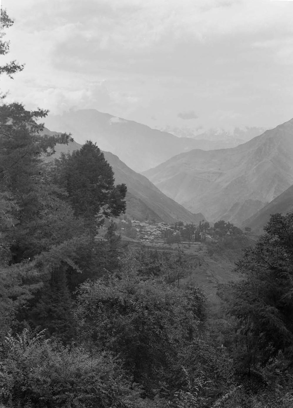 Black-and-white photograph of landscape