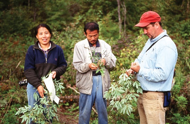 Collectors working in the field