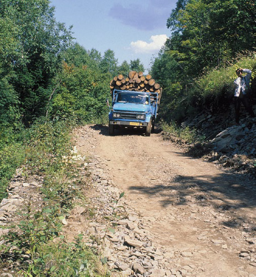Photo of truck hauling logs
