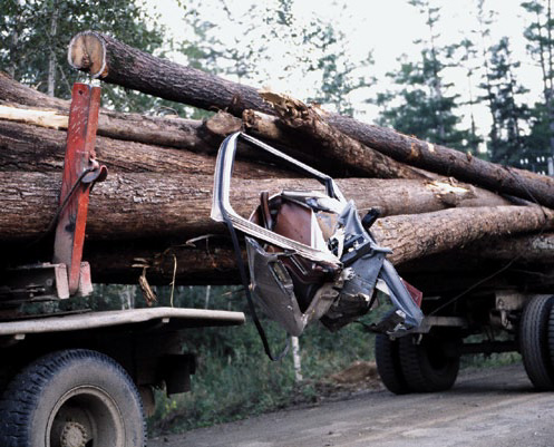 Photo of van door caught on logs