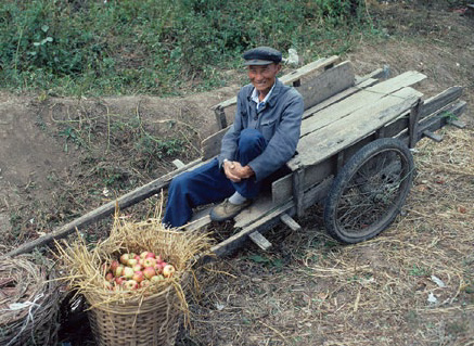Man sitting on wooden cart with basket of apples