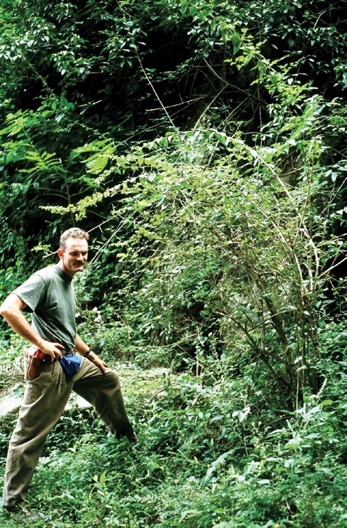 Collector standing beside large green shrub with ungainly form