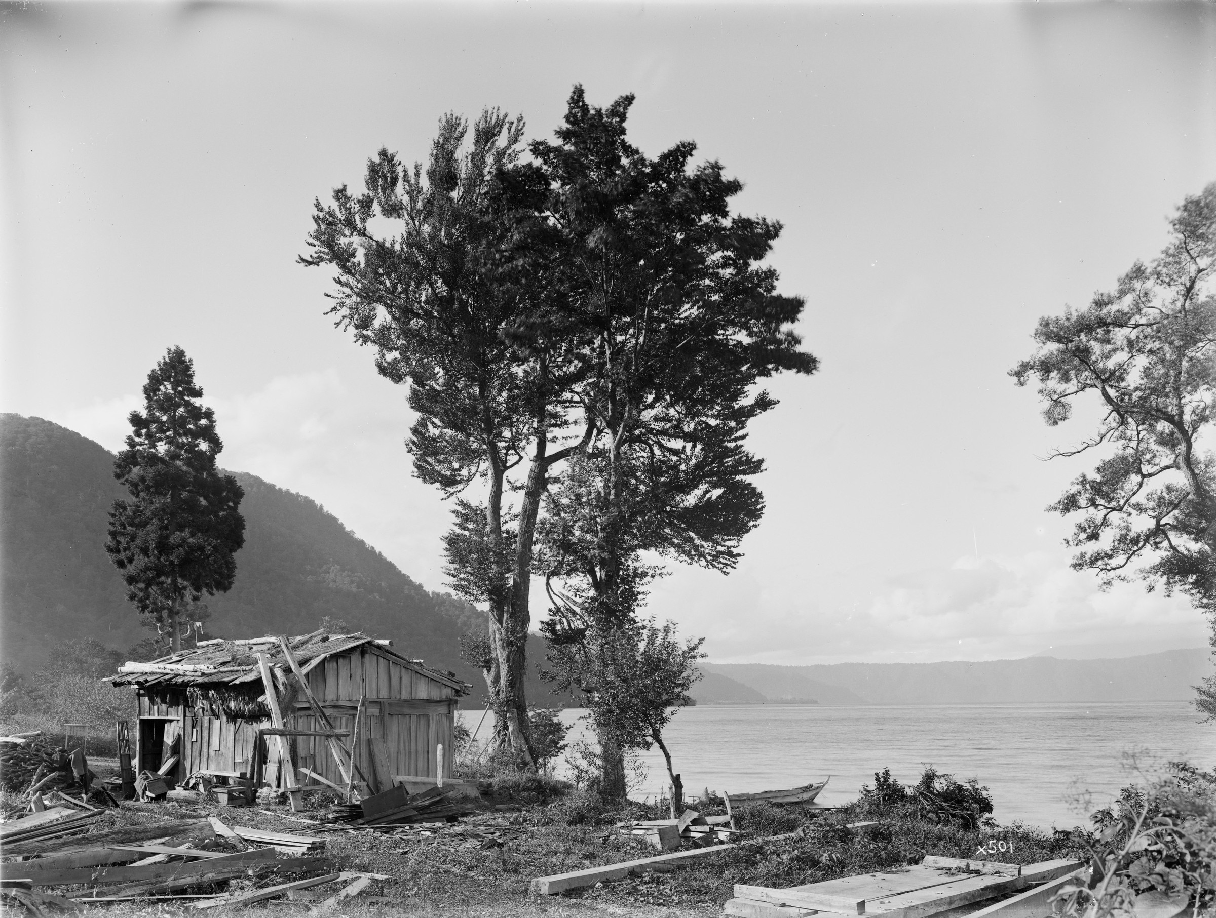 Black-and-white photograph of trees and small building standing beside expansive lake