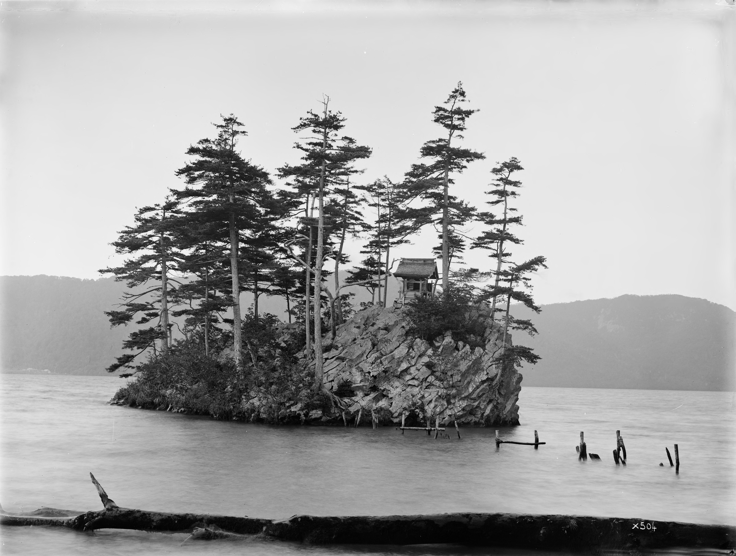 Black-and-white photograph of pine trees on island in center of large body of water