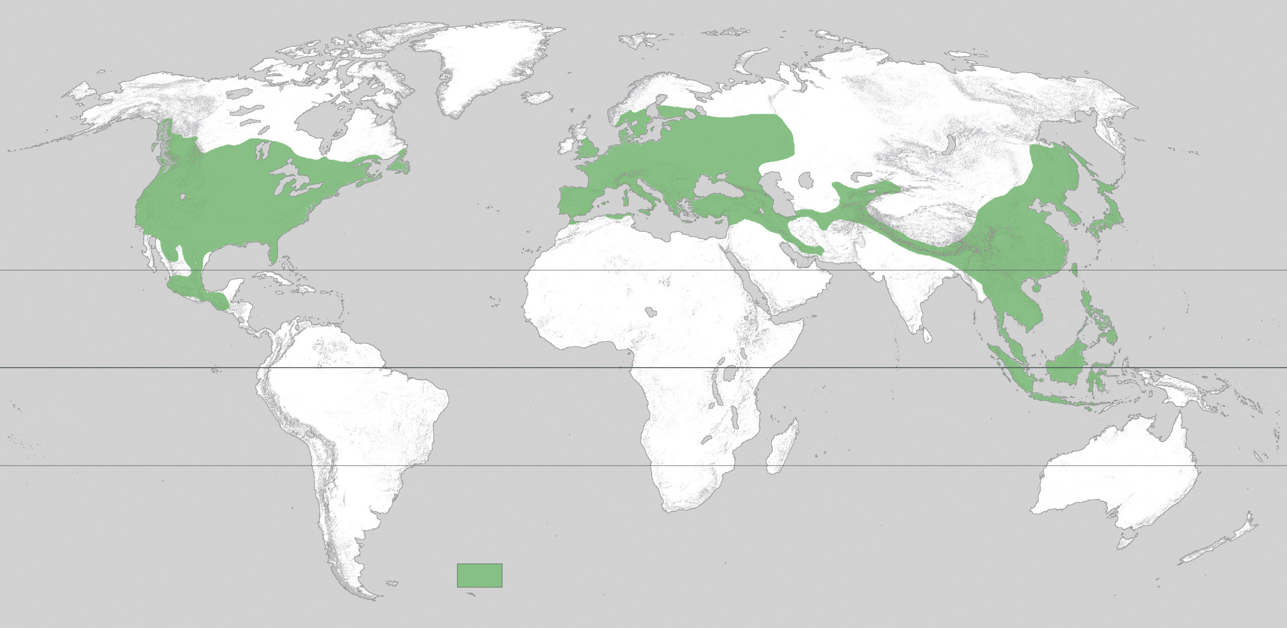 Map of global maple distribution showing a widespread presence throughout the Northern Hemisphere