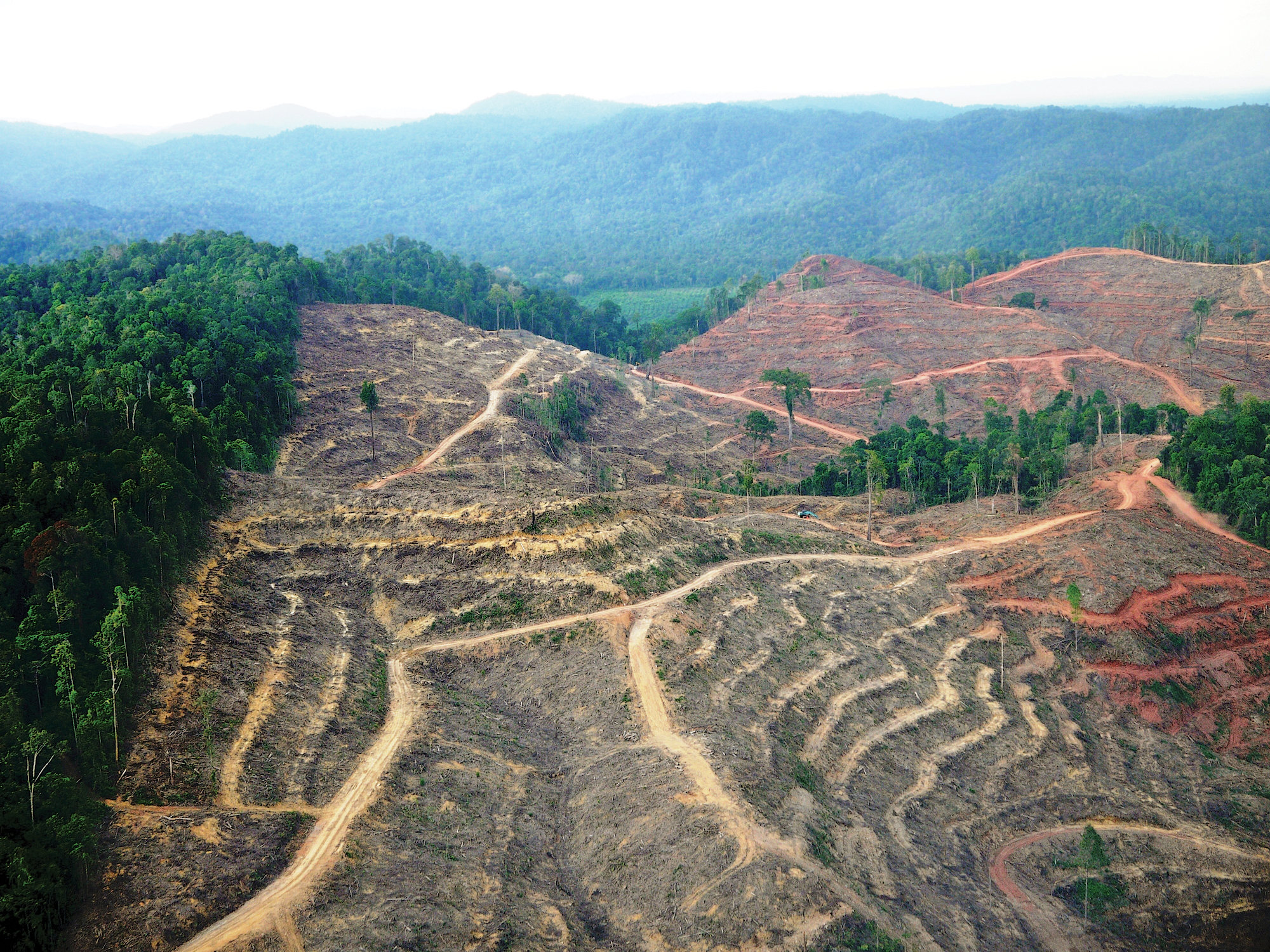 Photo of cleared and terraced tropical landscape viewed from above