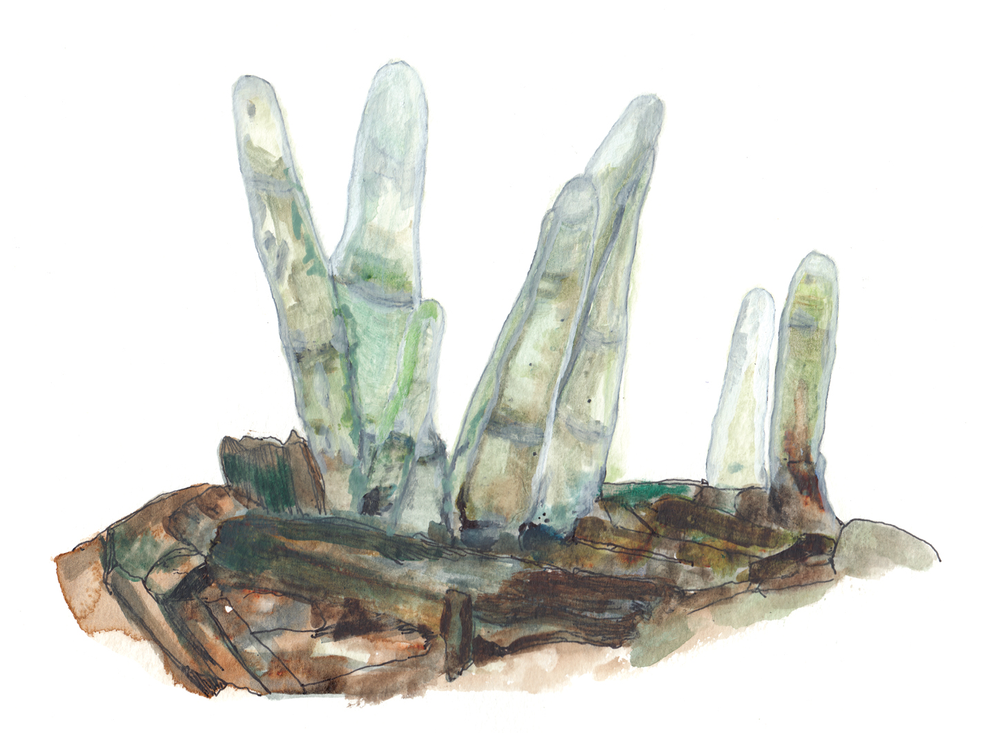Watercolor and ink illustration of finger-shaped mushrooms