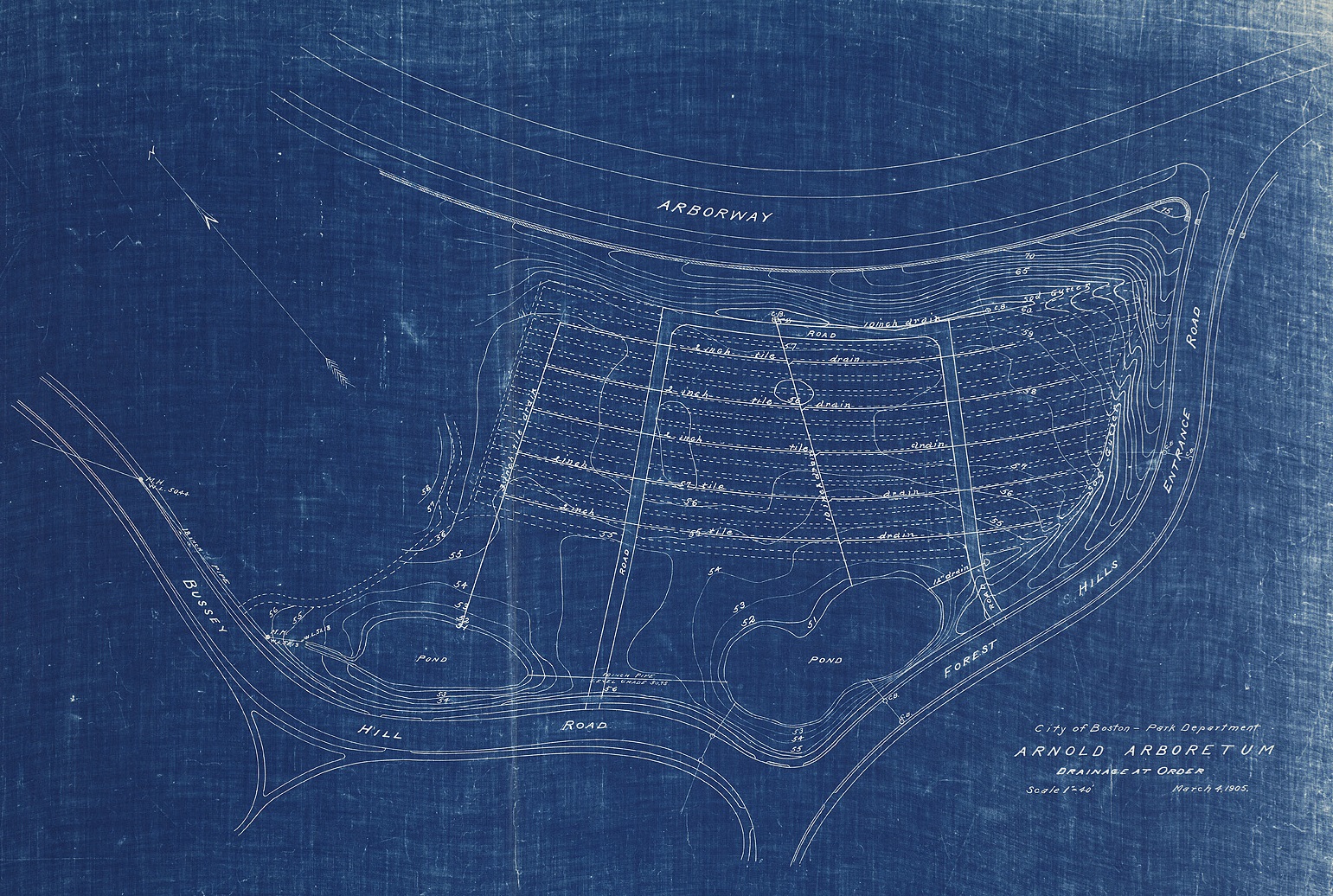 Blueprint of ceramic drains in the Shrub Collection, 1905.