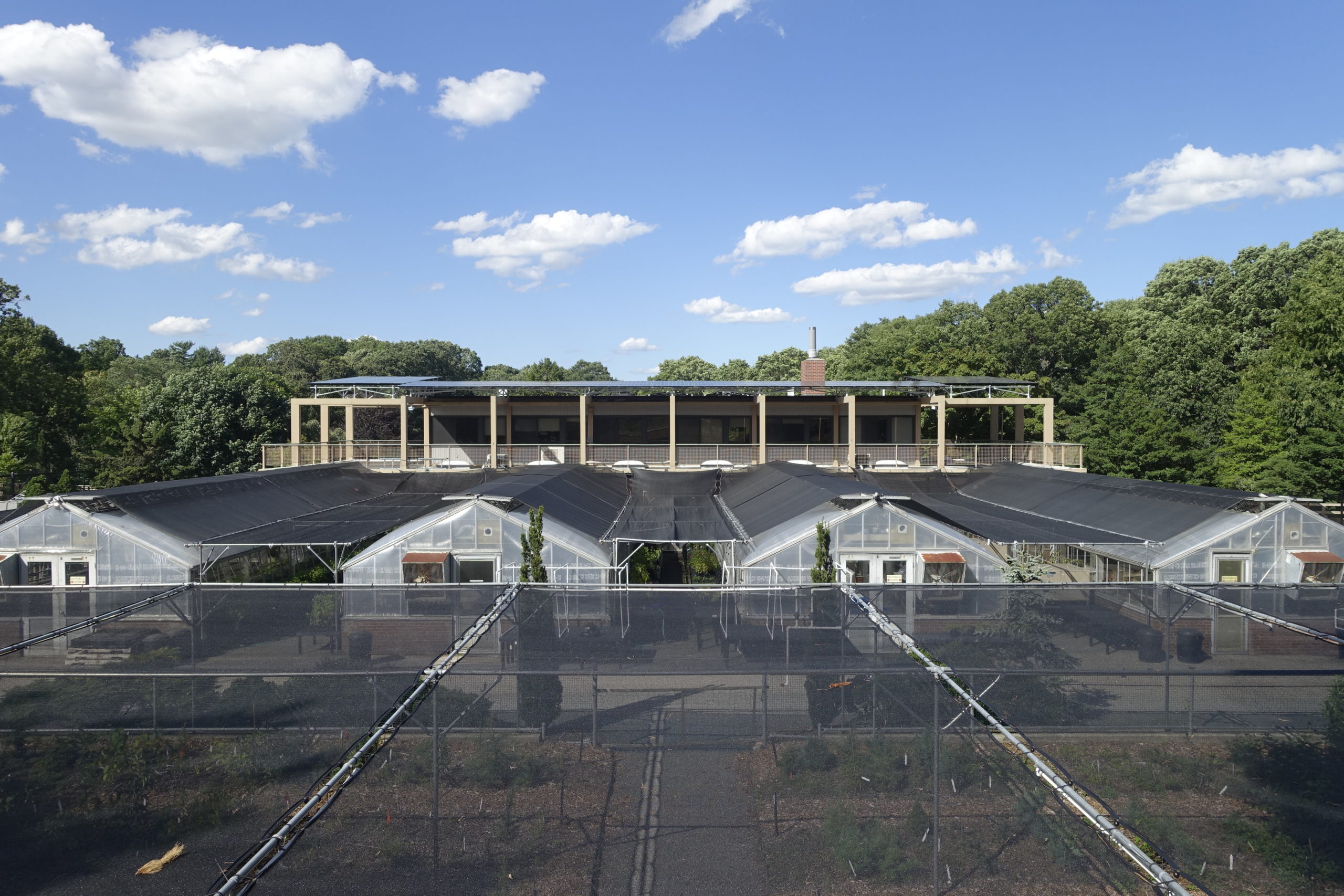 A back view of the Dana Greenhouse