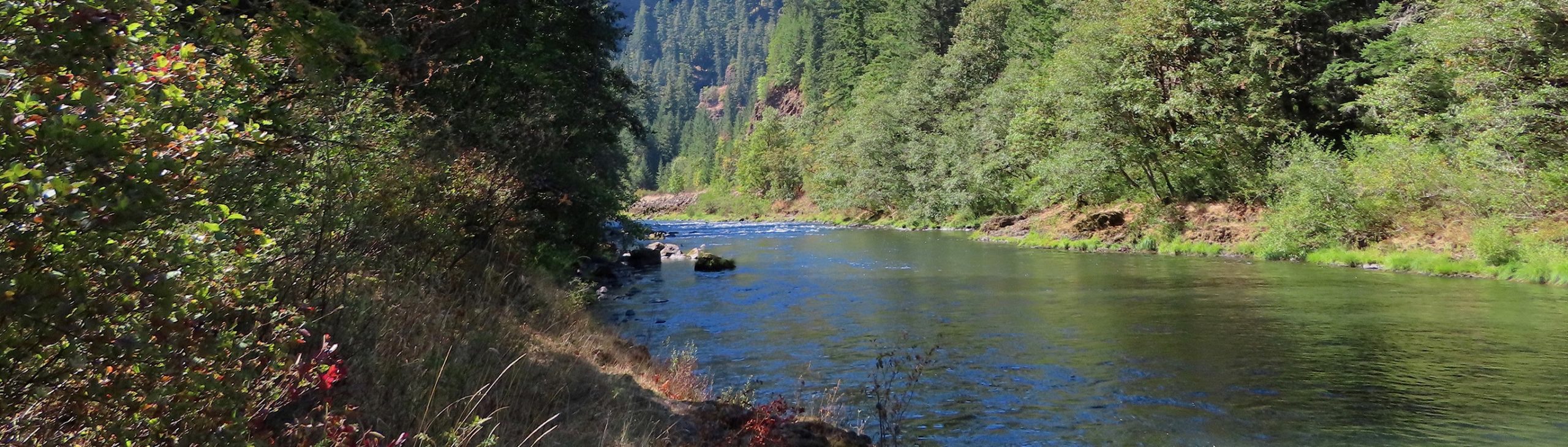 Clacklamas River