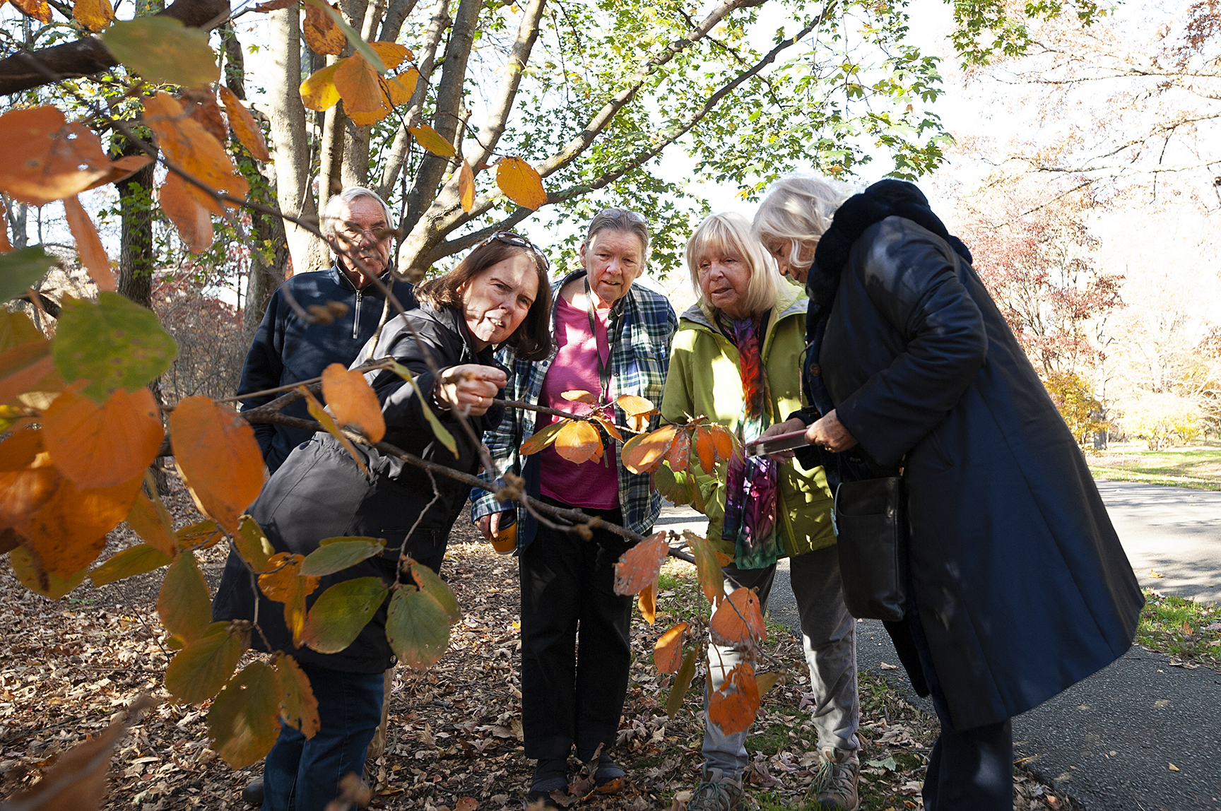 Docent Chris McArdle leads an Arboretum theme tour